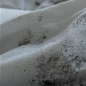 Meet your Posher, Thiago